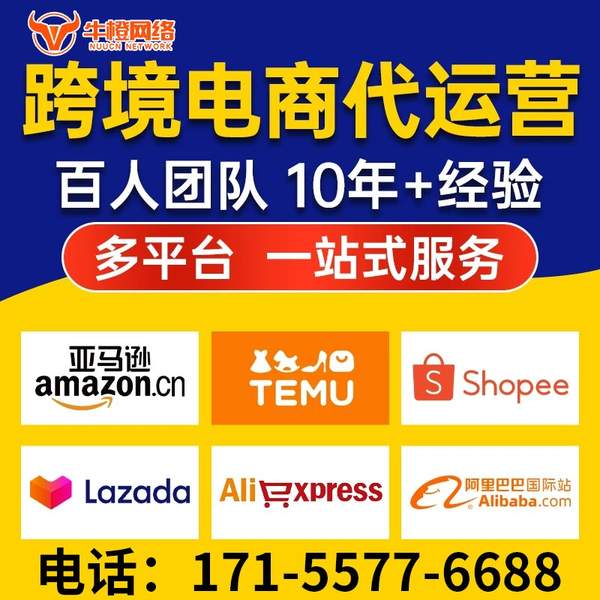 诸暨电商代运营