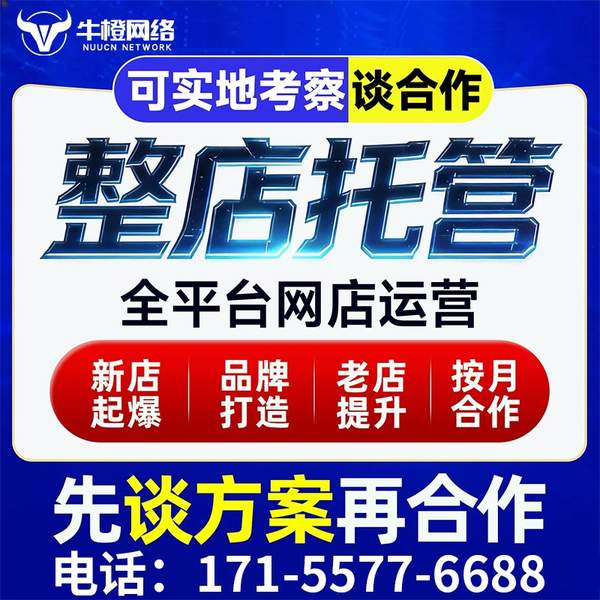 诸暨电商代运营