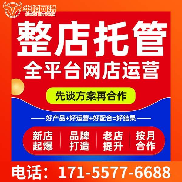 诸暨电商代运营