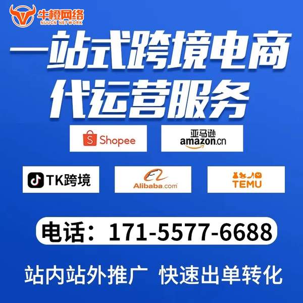 诸暨电商代运营